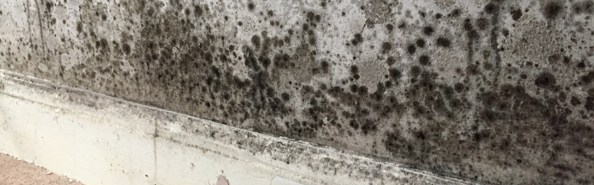 Asbestos and Mould Remediation - Hobart, Tasmania - Asbestos Containing Materials Mold Remediation In Industrial